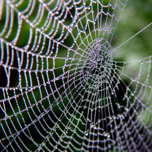 6 Common Perfectionism Traps
