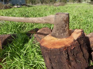 Stop Self-Sabotage for Good - Part Two