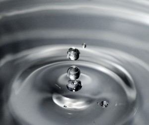 3 Fundamental Activities of Mindfulness
