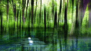 8 Basic Characteristics of Mindfulness