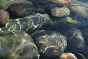 Mindfulness-Based Stress Reduction- Week Five