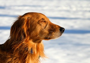Mindfulness-Based Stress Reduction - Week Four
