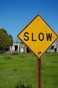 Slow Down... Become Mindful