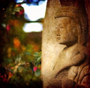 Mindfulness-Based Stress Reduction- Week Seven