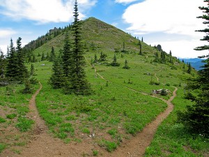 Three Paths to Happiness