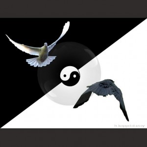 Resolve 10 Dialectical Tensions for a Balanced Lifestyle