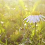 Start the Morning Right - 10 Simple Mood Boosters
