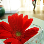 Start the Morning Right - 10 Simple Mood Boosters - Part Two